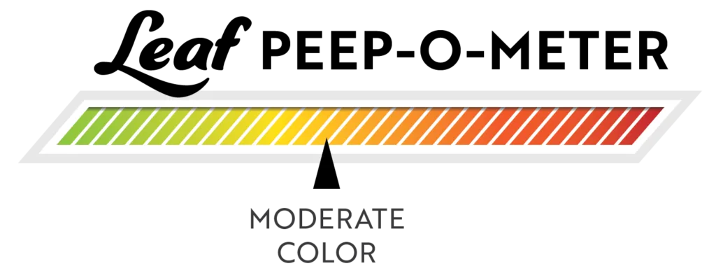 Leaf Peek-O-Meter graphic showing a rainbow color gauge from green to red with a central pointer and the caption 'MODERATE COLOR'.